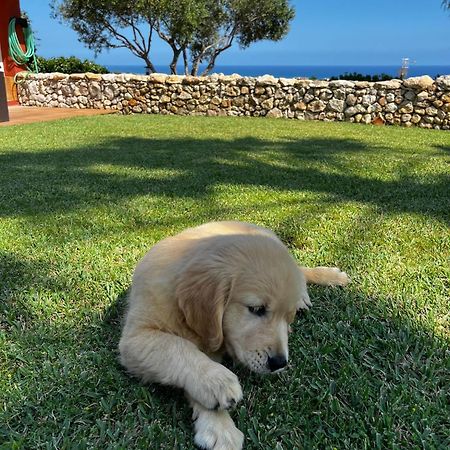 Tu Pequeno Paraiso Villa Calafell Bagian luar foto