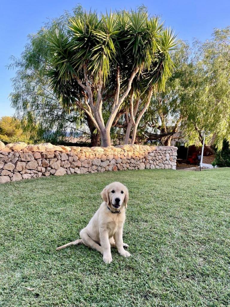 Tu Pequeno Paraiso Villa Calafell Bagian luar foto