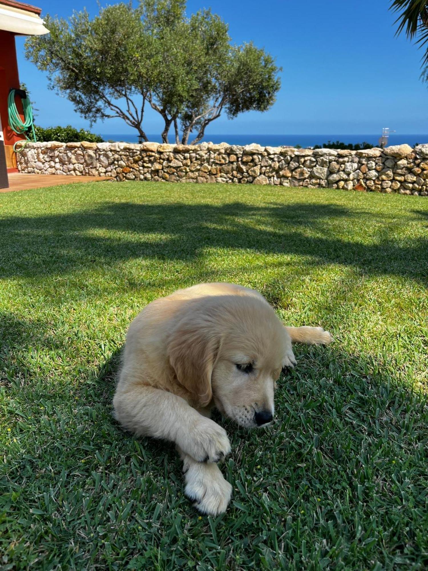 Tu Pequeno Paraiso Villa Calafell Bagian luar foto